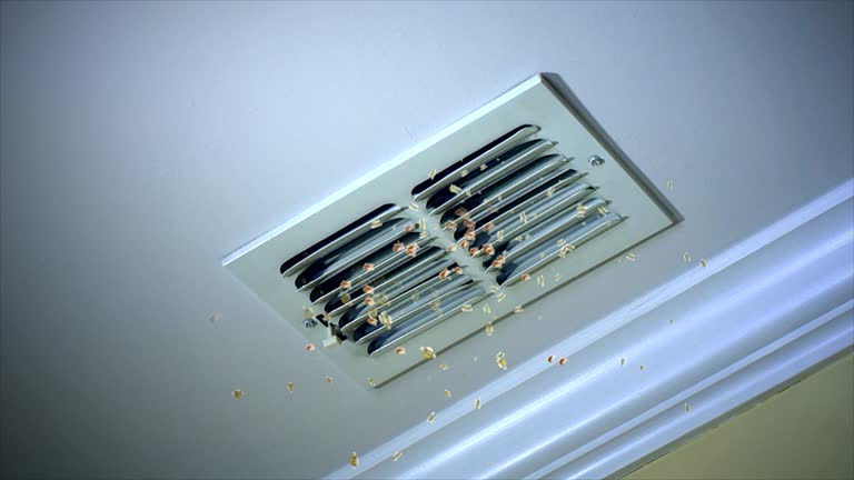 Best General Air Duct Cleaning  in Kayenta, AZ